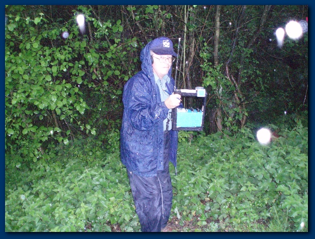 600x449 pixels (196K)